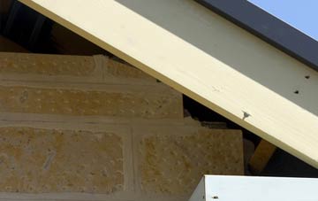 soffit repair Baswich