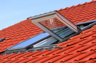 Baswich roof window